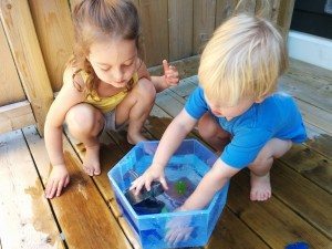 IMG_20150727_120242