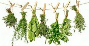 Dried Herbs