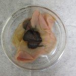 battery3V_after21hrs37C