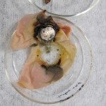 battery3V_after21hrs37C_betweenslices