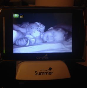 Lennox asleep cropped