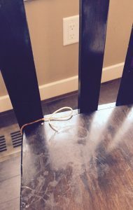 errant-spaghetti-noddle