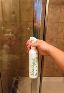 shower cleaner