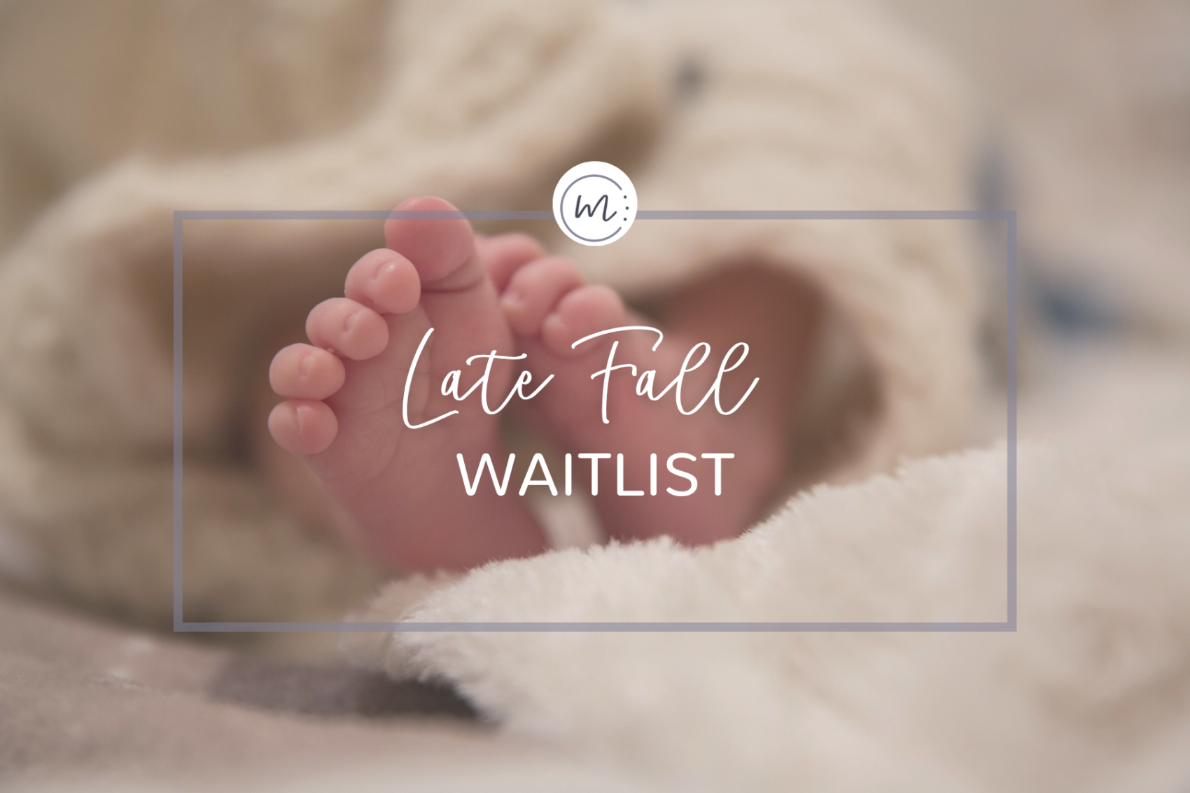 NEWMARKET LATE FALL WAITLIST